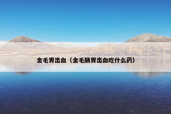 金毛胃出血（金毛肠胃出血吃什么药）