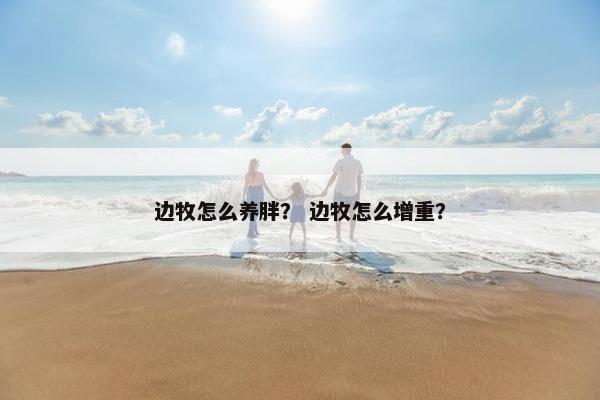 边牧怎么养胖？ 边牧怎么增重？