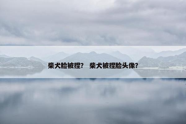 柴犬脸被捏？ 柴犬被捏脸头像？