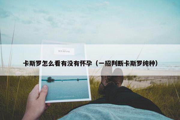 卡斯罗怎么看有没有怀孕（一招判断卡斯罗纯种）