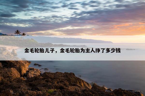 金毛轮胎儿子，金毛轮胎为主人挣了多少钱