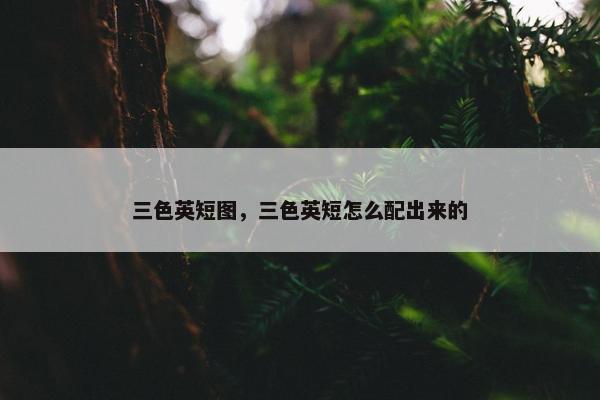 三色英短图，三色英短怎么配出来的