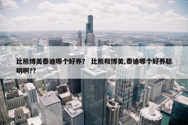 比熊博美泰迪哪个好养？ 比熊和博美,泰迪哪个好养聪明啊?？