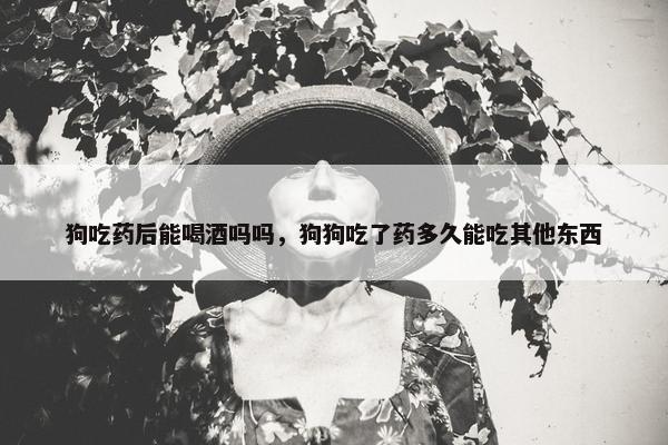 狗吃药后能喝酒吗吗，狗狗吃了药多久能吃其他东西
