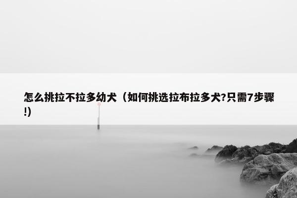 怎么挑拉不拉多幼犬（如何挑选拉布拉多犬?只需7步骤!）