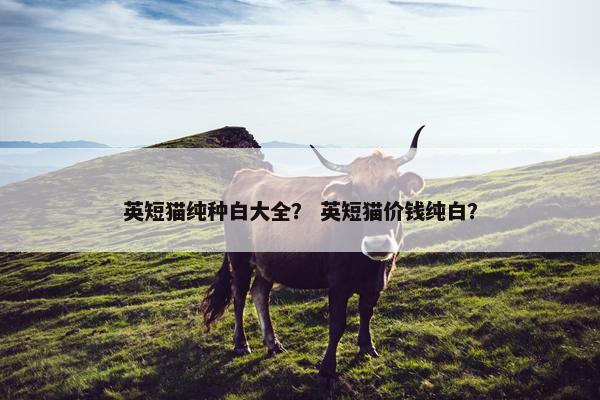 英短猫纯种白大全？ 英短猫价钱纯白？