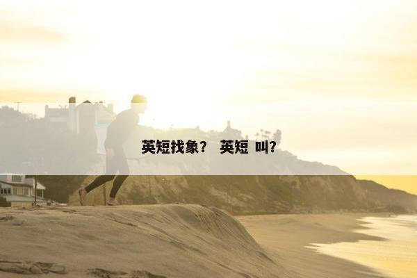 英短找象？ 英短 叫？
