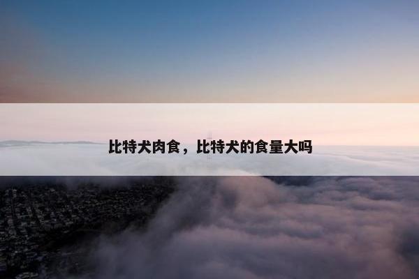 比特犬肉食，比特犬的食量大吗