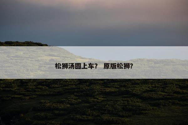 松狮汤圆上车？ 原版松狮？