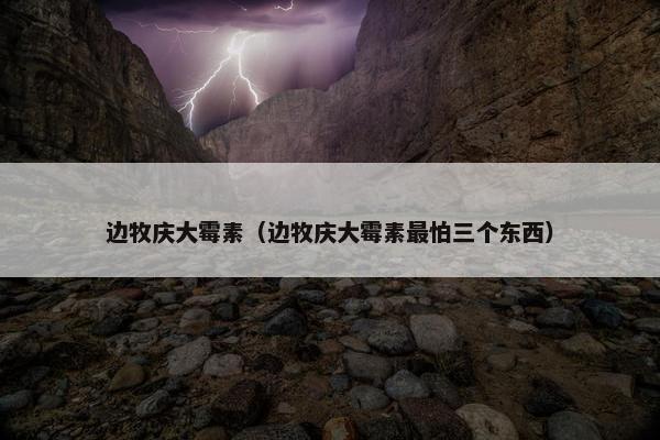 边牧庆大霉素（边牧庆大霉素最怕三个东西）
