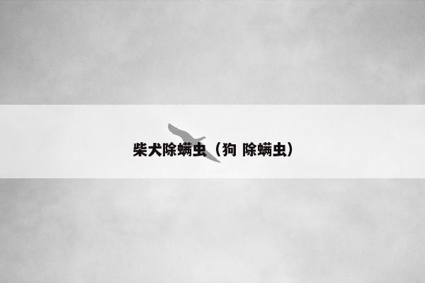 柴犬除螨虫（狗 除螨虫）