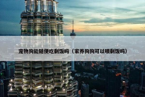 宠物狗能随便吃剩饭吗（家养狗狗可以喂剩饭吗）