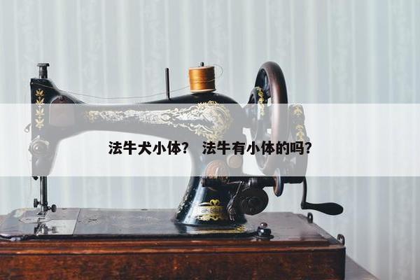 法牛犬小体？ 法牛有小体的吗？