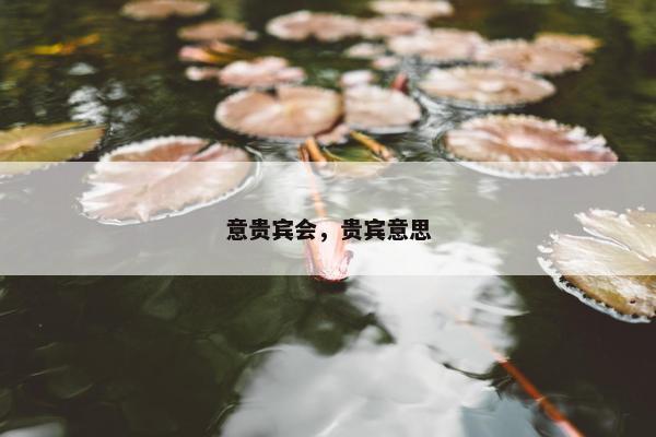 意贵宾会，贵宾意思