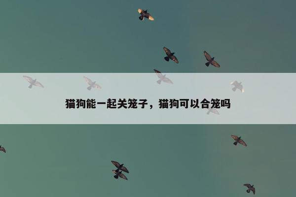 猫狗能一起关笼子，猫狗可以合笼吗