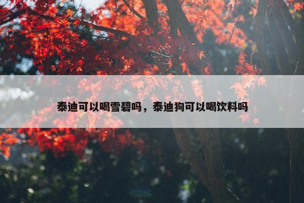 泰迪可以喝雪碧吗，泰迪狗可以喝饮料吗