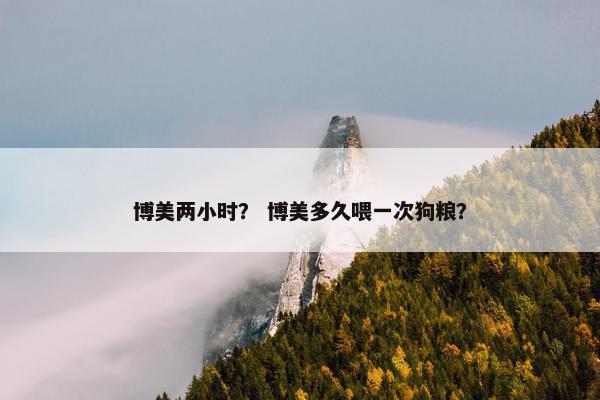 博美两小时？ 博美多久喂一次狗粮？