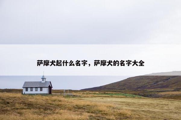 萨摩犬起什么名字，萨摩犬的名字大全