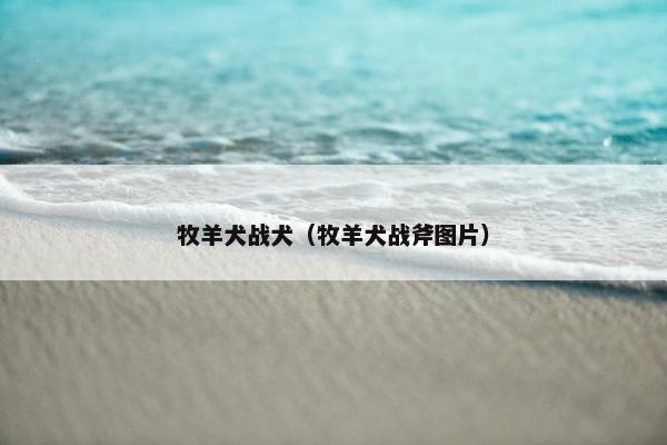牧羊犬战犬（牧羊犬战斧图片）