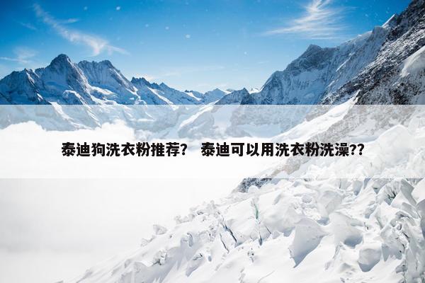 泰迪狗洗衣粉推荐？ 泰迪可以用洗衣粉洗澡?？