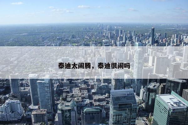 泰迪太闹腾，泰迪很闹吗