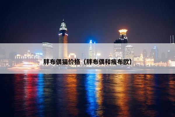 胖布偶猫价格（胖布偶和瘦布欧）