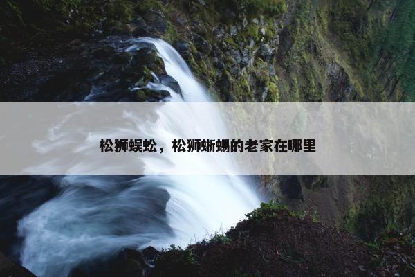 松狮蜈蚣，松狮蜥蜴的老家在哪里
