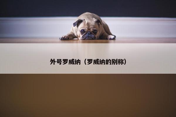 外号罗威纳（罗威纳的别称）