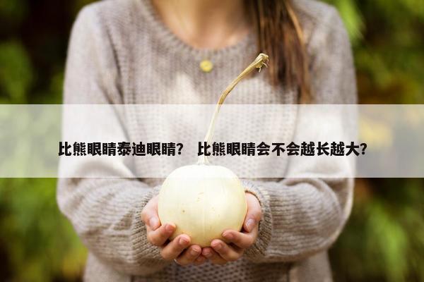比熊眼睛泰迪眼睛？ 比熊眼睛会不会越长越大？
