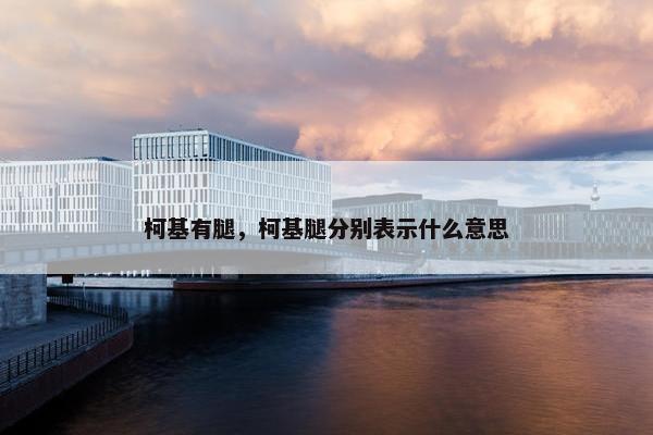 柯基有腿，柯基腿分别表示什么意思