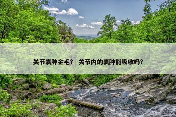 关节囊肿金毛？ 关节内的囊肿能吸收吗？