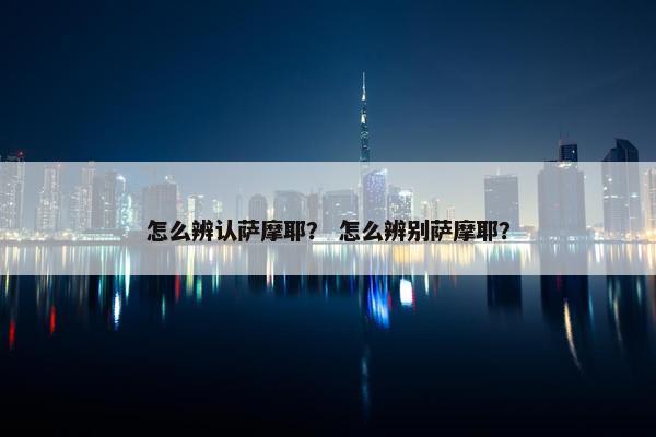怎么辨认萨摩耶？ 怎么辨别萨摩耶？