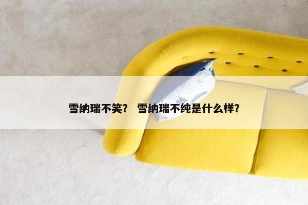 雪纳瑞不笑？ 雪纳瑞不纯是什么样？