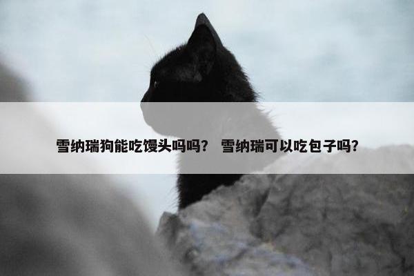 雪纳瑞狗能吃馒头吗吗？ 雪纳瑞可以吃包子吗？