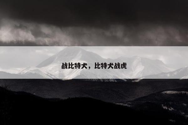 战比特犬，比特犬战虎