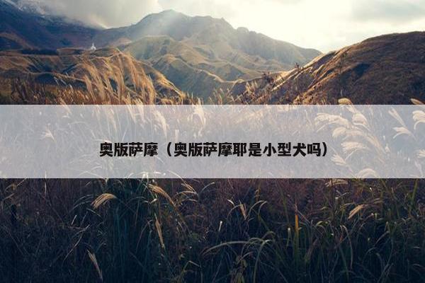 奥版萨摩（奥版萨摩耶是小型犬吗）
