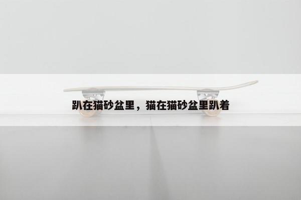 趴在猫砂盆里，猫在猫砂盆里趴着