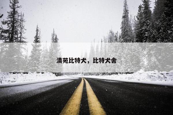 清苑比特犬，比特犬舍