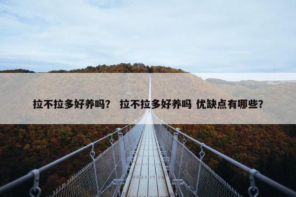 拉不拉多好养吗？ 拉不拉多好养吗 优缺点有哪些？