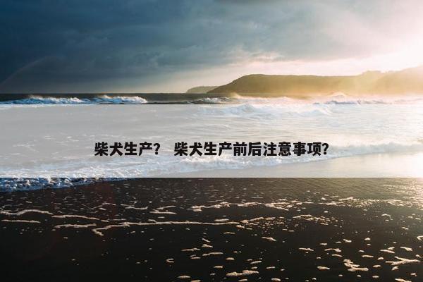 柴犬生产？ 柴犬生产前后注意事项？