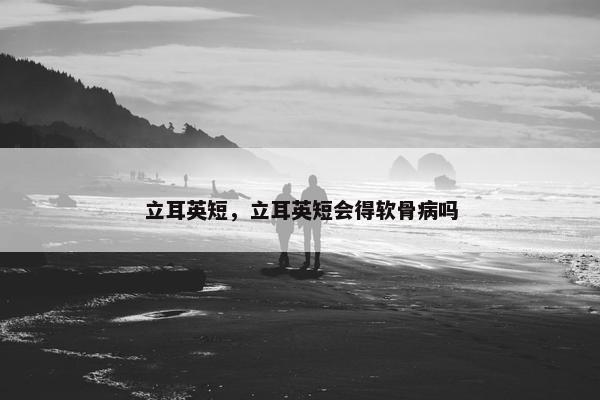 立耳英短，立耳英短会得软骨病吗
