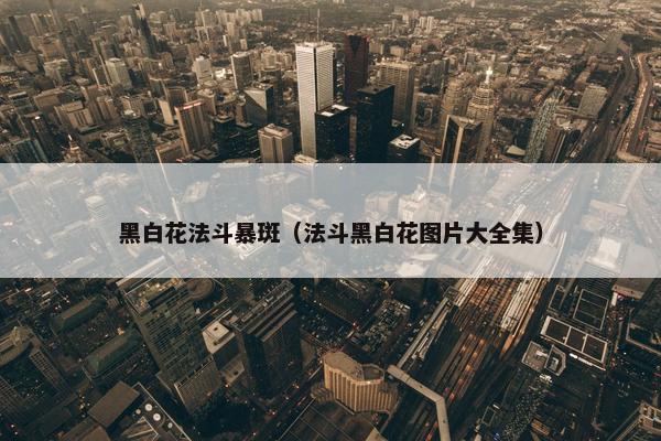 黑白花法斗暴斑（法斗黑白花图片大全集）