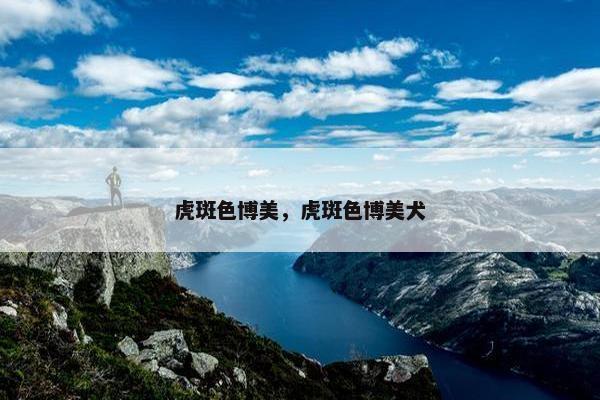 虎斑色博美，虎斑色博美犬