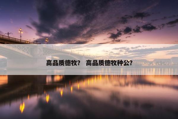 高品质德牧？ 高品质德牧种公？