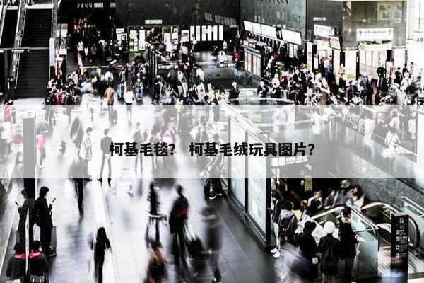柯基毛毯？ 柯基毛绒玩具图片？