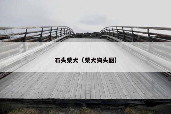 石头柴犬（柴犬狗头图）