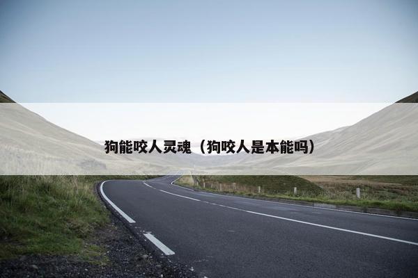 狗能咬人灵魂（狗咬人是本能吗）