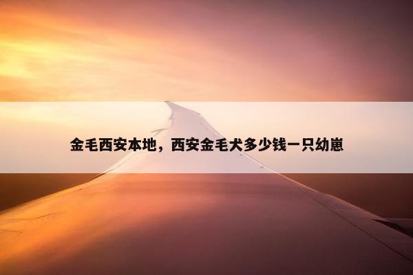 金毛西安本地，西安金毛犬多少钱一只幼崽
