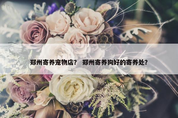 郑州寄养宠物店？ 郑州寄养狗好的寄养处？