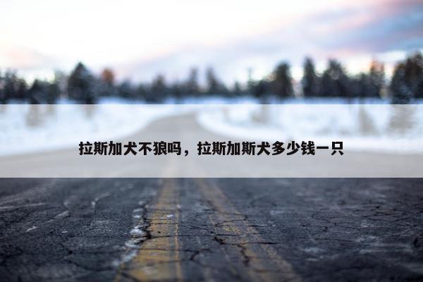 拉斯加犬不狼吗，拉斯加斯犬多少钱一只